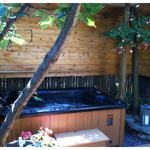 Accommodations in Town, Woodstock NY, photo 12