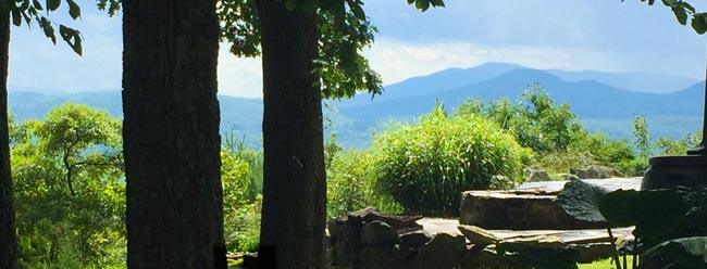 Mountain view through the trees from one of the houses in Woodstock